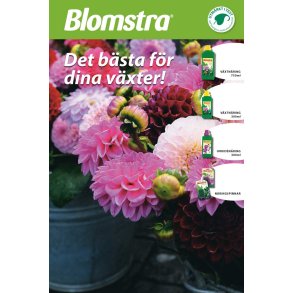 Blomstra ''Vackrare Vxter'' Toppskylt Singelpackad