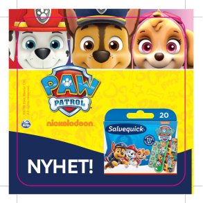 Vippa Paw Patrol 10st/bunt 
